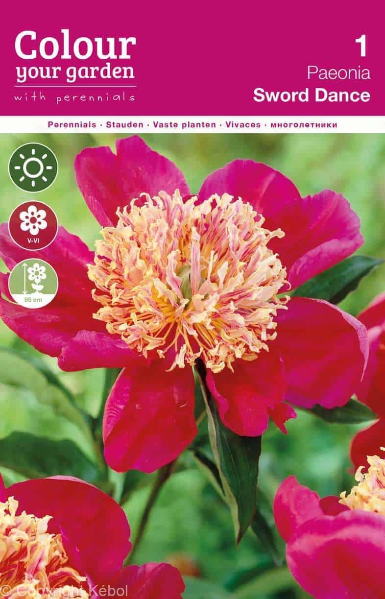 Paeonia Sword Dance
