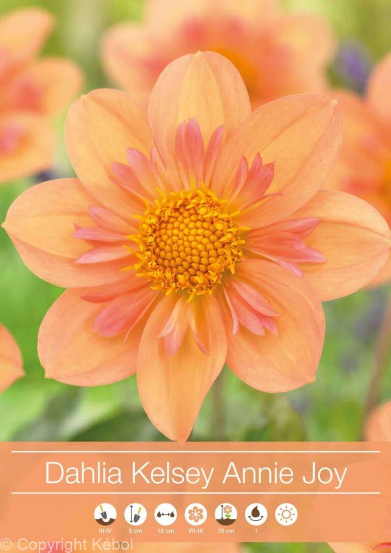 Dahlia Kelsey Annie Joy