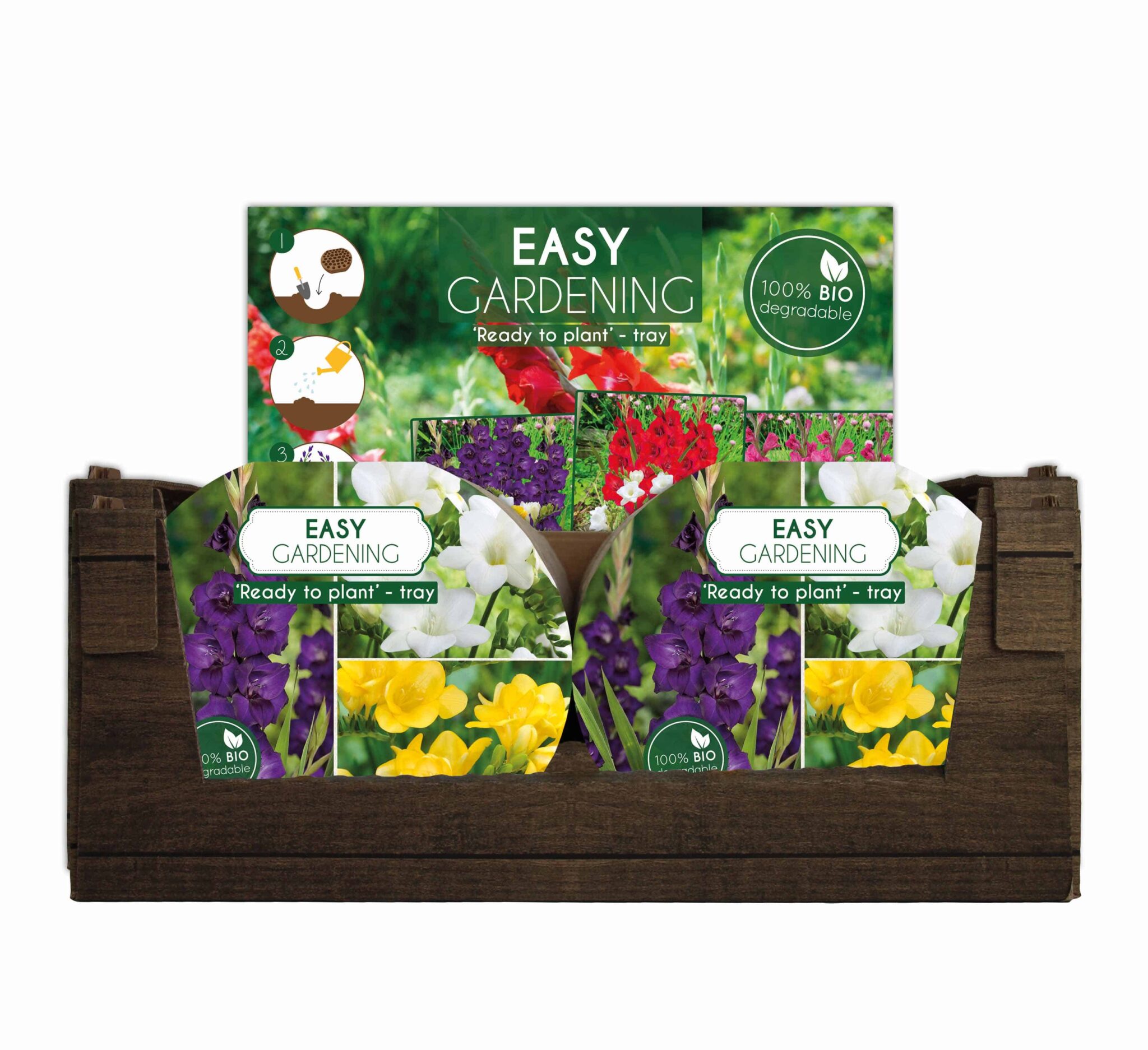 Easy Gardening Purple/Yellow/White - header