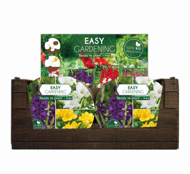 Easy Gardening Purple/Yellow/White - header