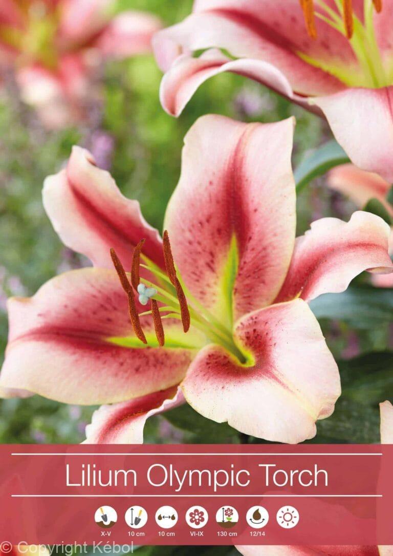 Lilium Olympic Torch