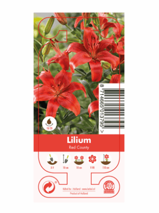 Nature by Nature / Lilium Red County