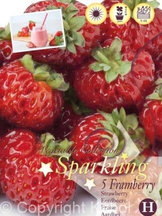 Fragaria Framberry