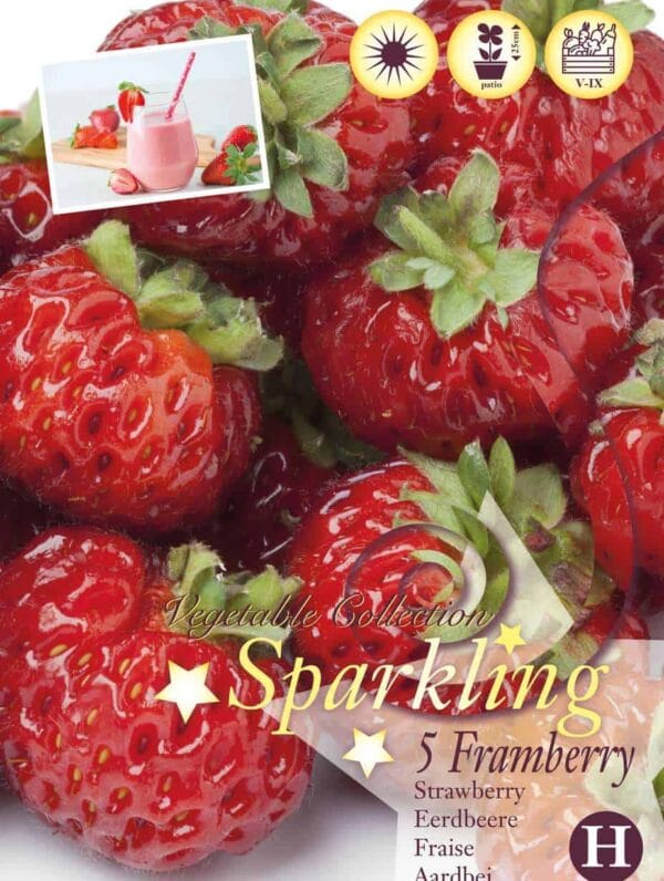 Fragaria Framberry