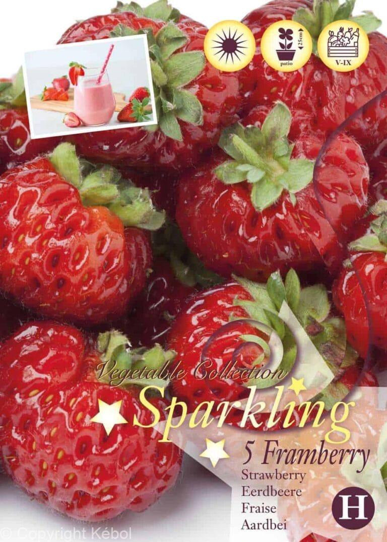 Fragaria Framberry