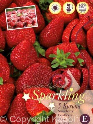 Fragaria Korona