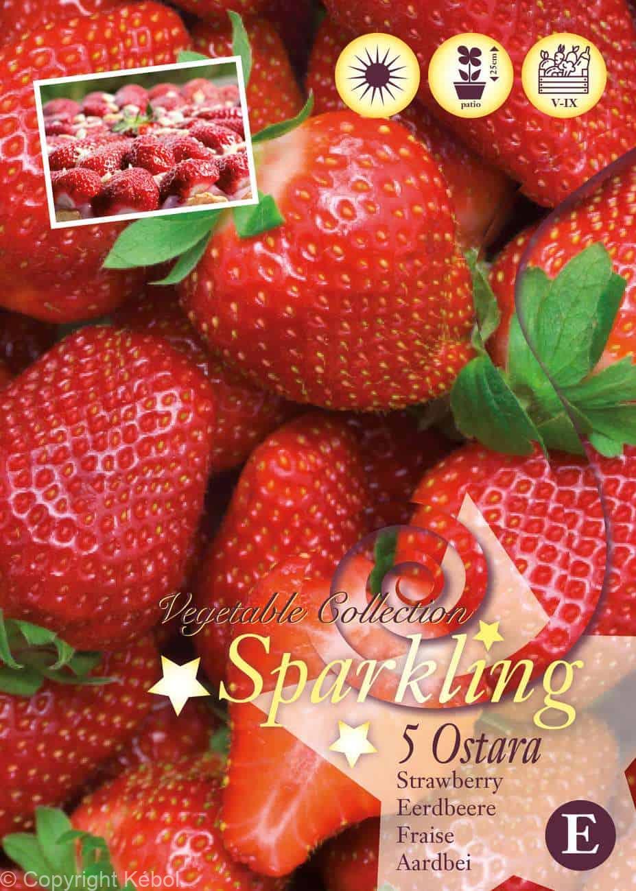 Fragaria Ostara