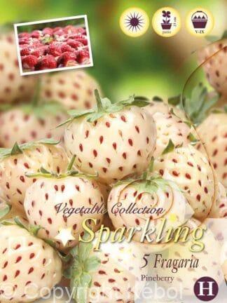 Fragaria Pineberry
