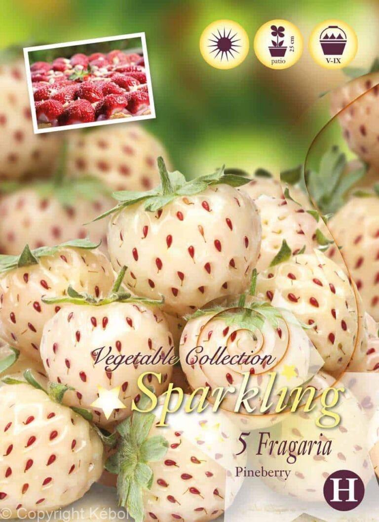 Fragaria Pineberry