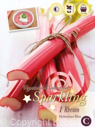 Rheum Holsteiner Blut I