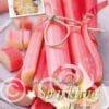 Rheum Red Champagne I