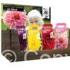 XXL Dahlia Mixed Assortment with Header
