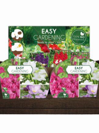 Easy Gardening Pink/Blue/White - header