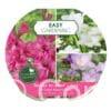Easy Gardening Pink/Blue/White