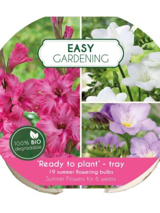 Easy Gardening Pink/Blue/White
