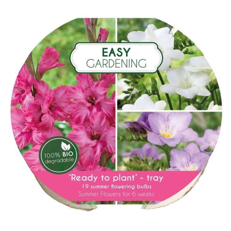 Easy Gardening Pink/Blue/White