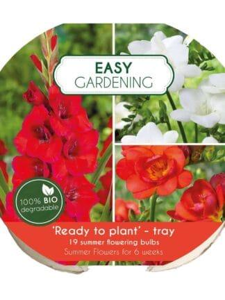 Easy Gardening Red/White