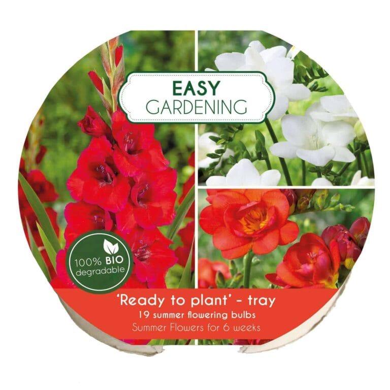 Easy Gardening Red/White