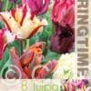 Tulipa Parrot Mixed