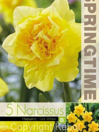 Narcissus Dick Wilden