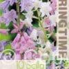 Scilla Campanulata Mixed