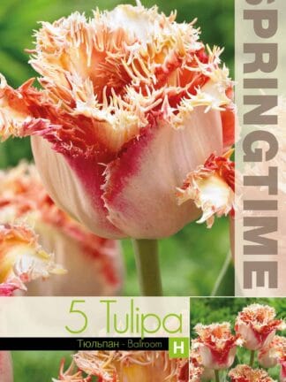 Tulipa Ballroom