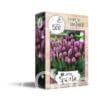 Liatris Spicata Happy Bee 8x