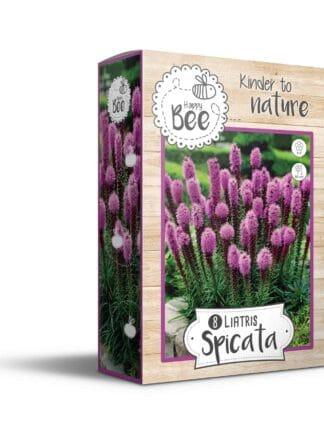 Liatris Spicata Happy Bee 8x