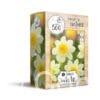 Dahlia White