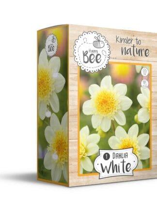 Dahlia White