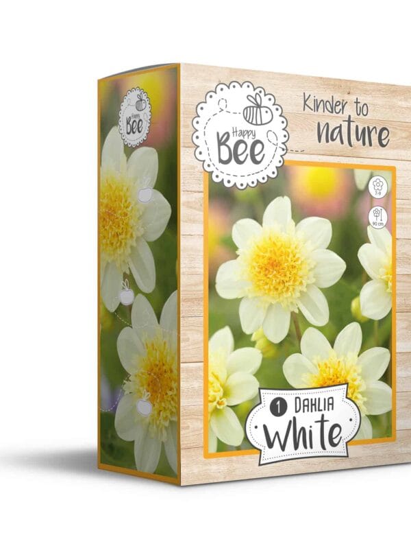 Dahlia White