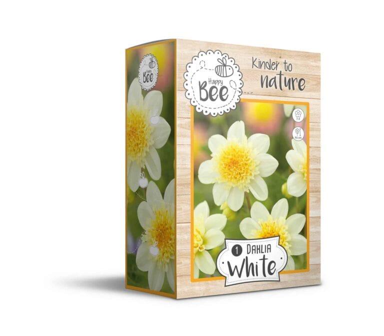 Dahlia White