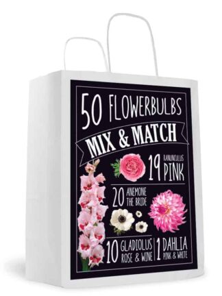 Mix & Match Pink