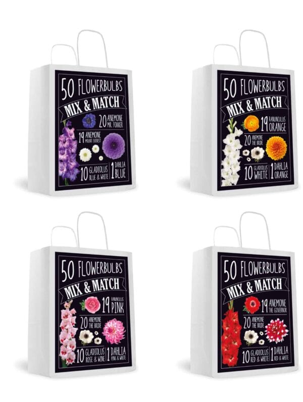 Mix & Match - Mixed Assortment