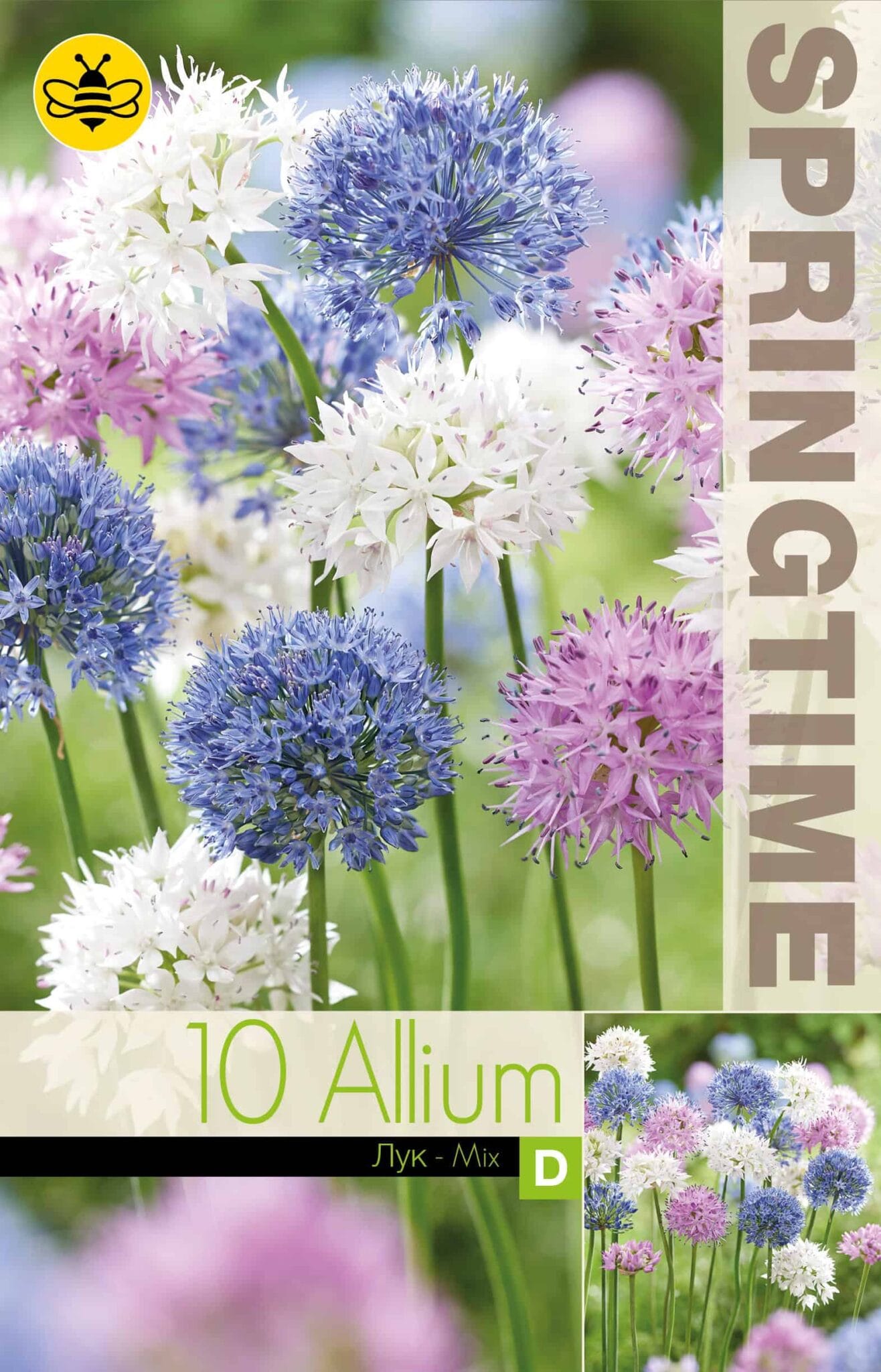 Allium Mixed
