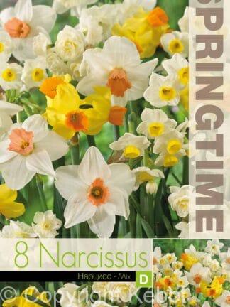 Narcissus Eyecatchers Mixed - RB