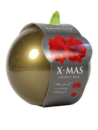 X-Mas Ball gold