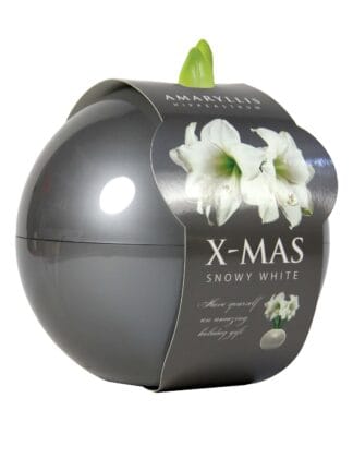 X-Mas Ball silver