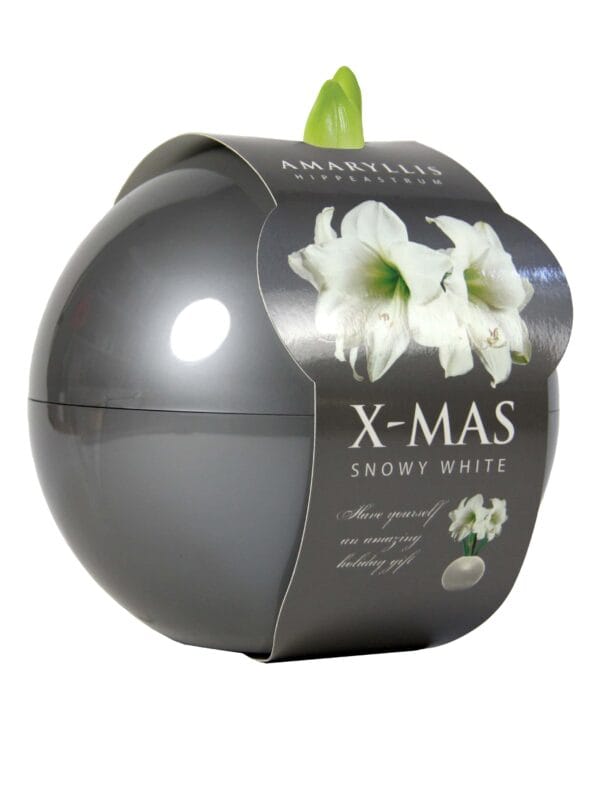 X-Mas Ball silver