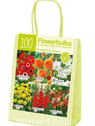 XL-Summer Orange/Red/White