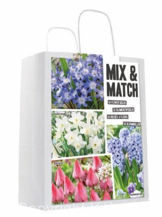 Mixed&Match Blue/Pink