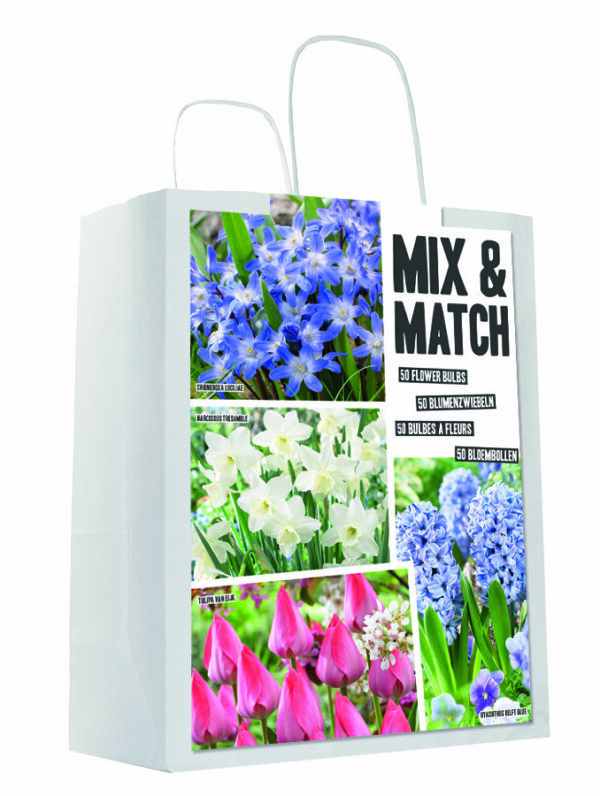 Mixed&Match Blue/Pink