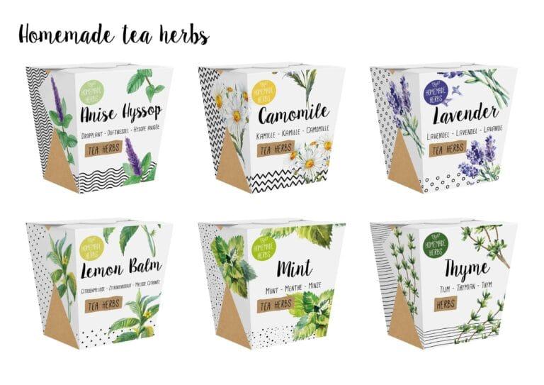 Homemade Tea Herbs