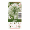 Nature Allium Mount Everest