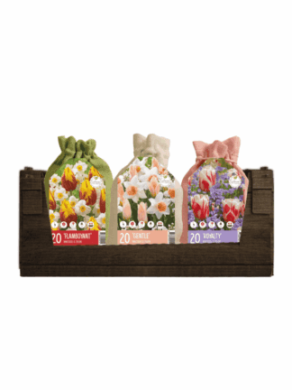 Colour your Garden Jute Mixed I