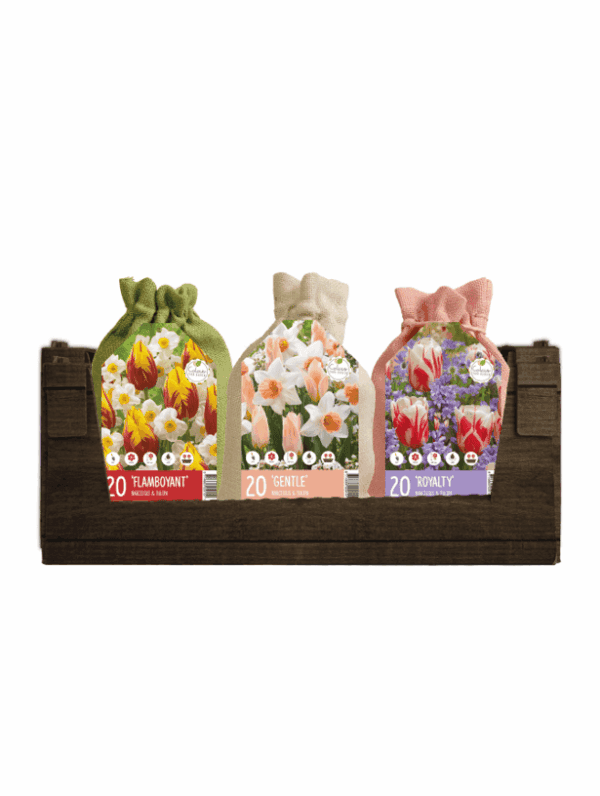 Colour your Garden Jute Mixed I