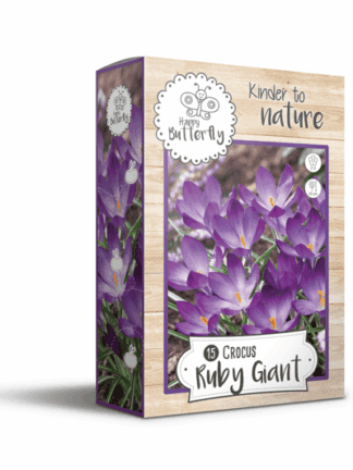 Happy Bee Crocus Ruby Giant