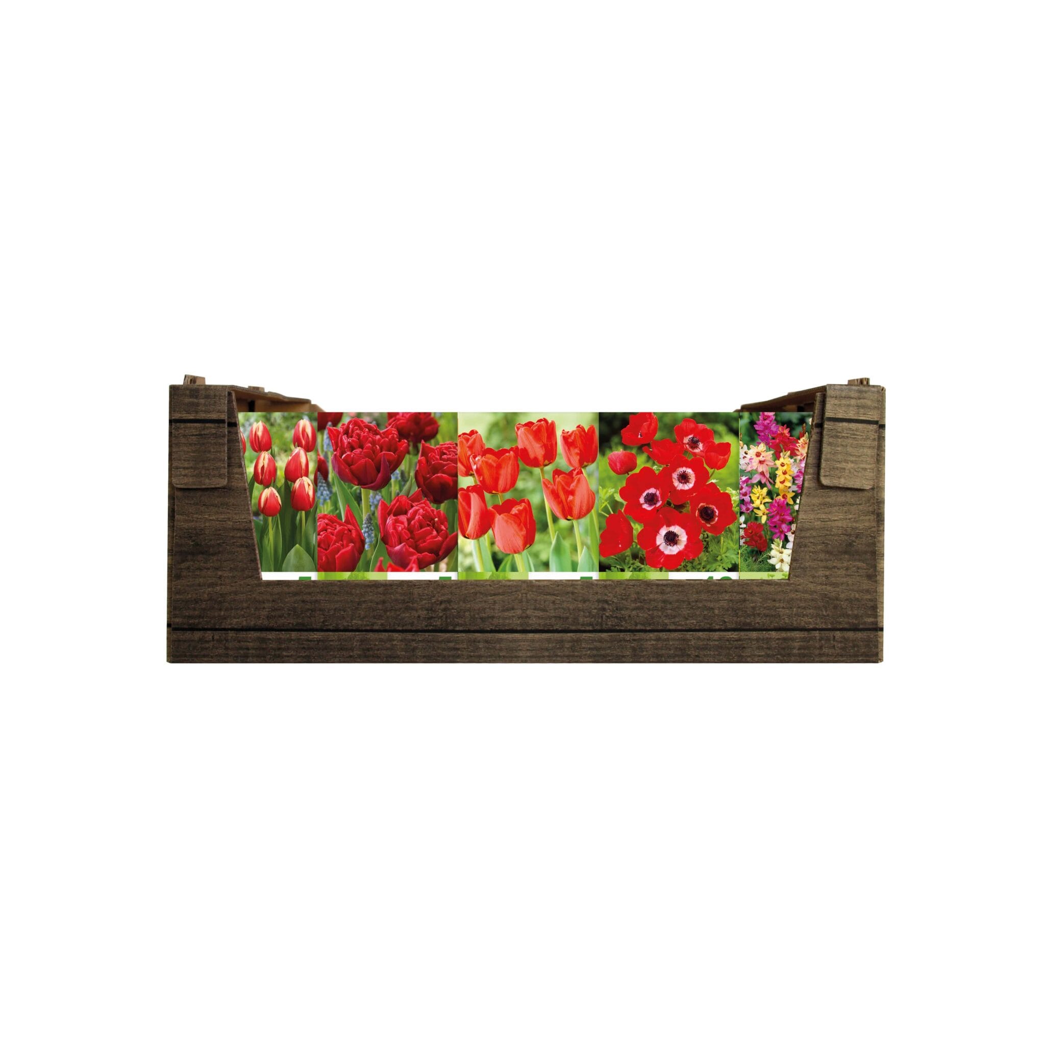 Economy Display box Red