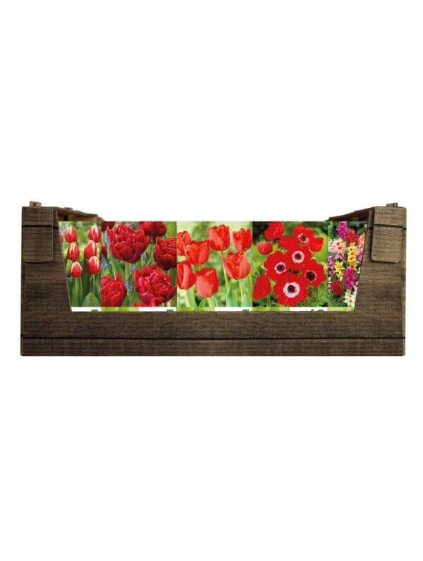 Economy Display box Red