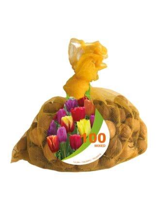 Tulipa Triumph Mixed Bonus Bag